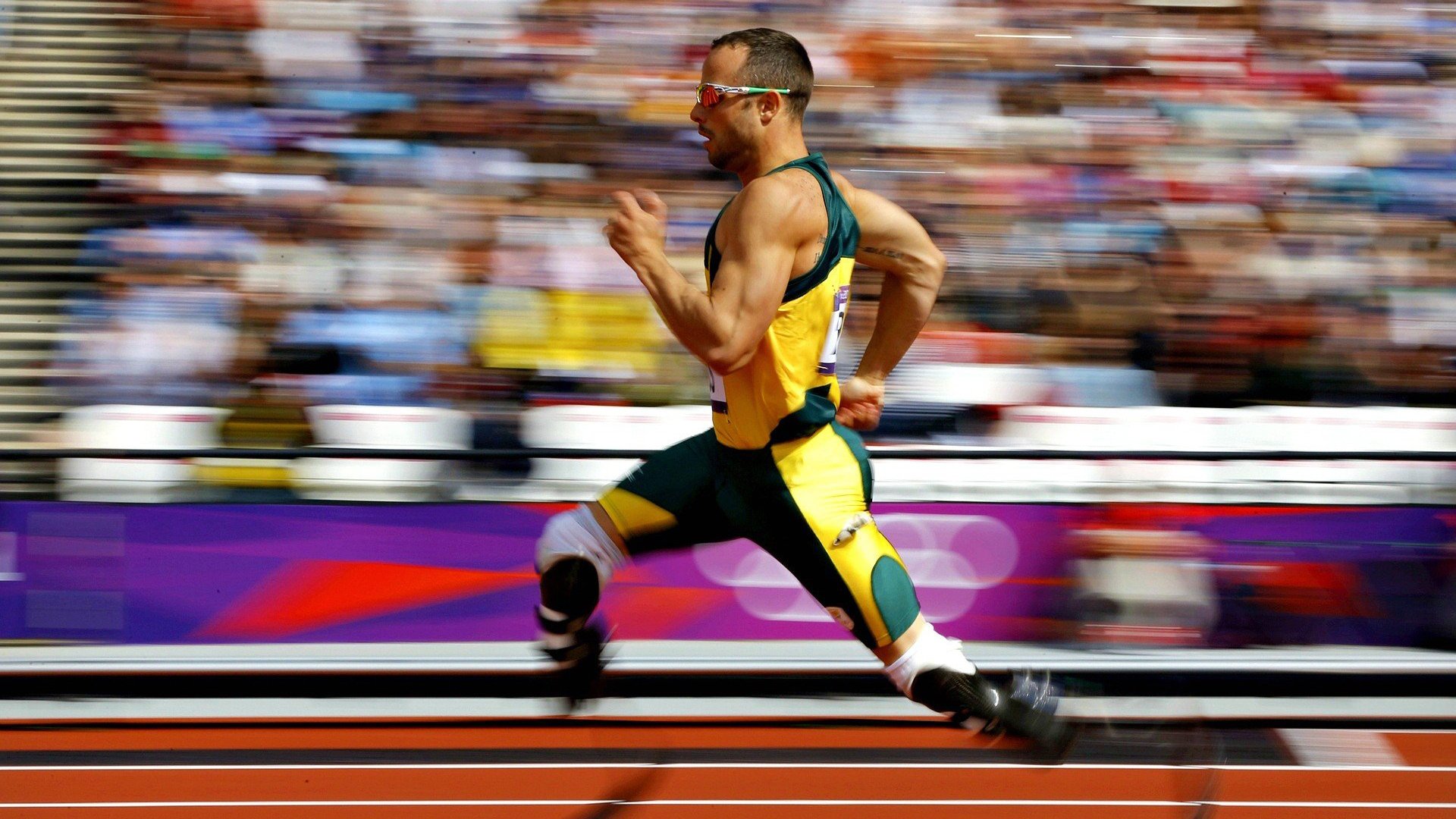 史上最大“黑马王朝”:逆袭夺冠的奇迹历程,黑马王子百科